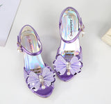 souliers-de-princesse-deguisement