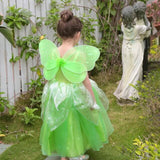 robe-princesse-tiana