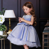 robe-princesse-scintillante