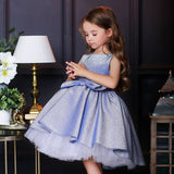 robe-princesse-scintillante
