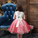 robe-de-princesse-rose-pour-petite-fille