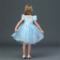 robe-princesse-fille-anniversaire