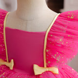 robe-princesse-tulle-paillete-1