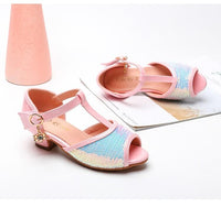 chaussure-princesse-taille-33
