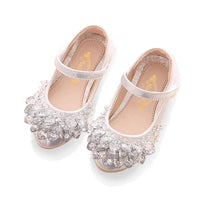 chaussure-princesse-taille-31