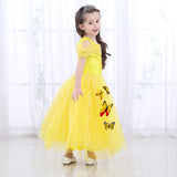 robe-princesse-papillon-1