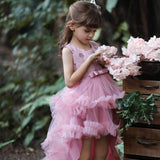 deguisement-princesse-rose-fille