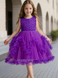 deguisement-robe-princesse-violette