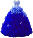 robe-de-princesse-bleu-adulte