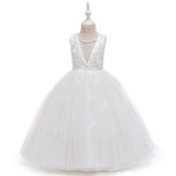 robe-de-princesse-rose-clair-fille