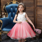 robe-de-princesse-rose-pour-petite-fille
