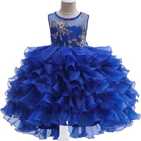 robe-de-princesse-vernis