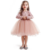 robe-pour-petite-fille-princesse
