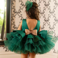 robe-princesse-belle-pour-petite-fille