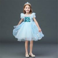 robe-princesse-fille-anniversaire