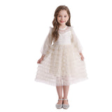 robe-princesse-manches-longues