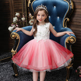 robe-de-princesse-rose-pour-petite-fille