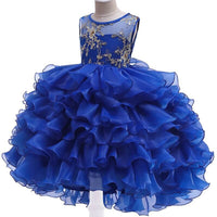 robe-de-princesse-vernis
