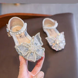 chaussure-princesse-papillon