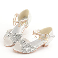 souliers-princesse